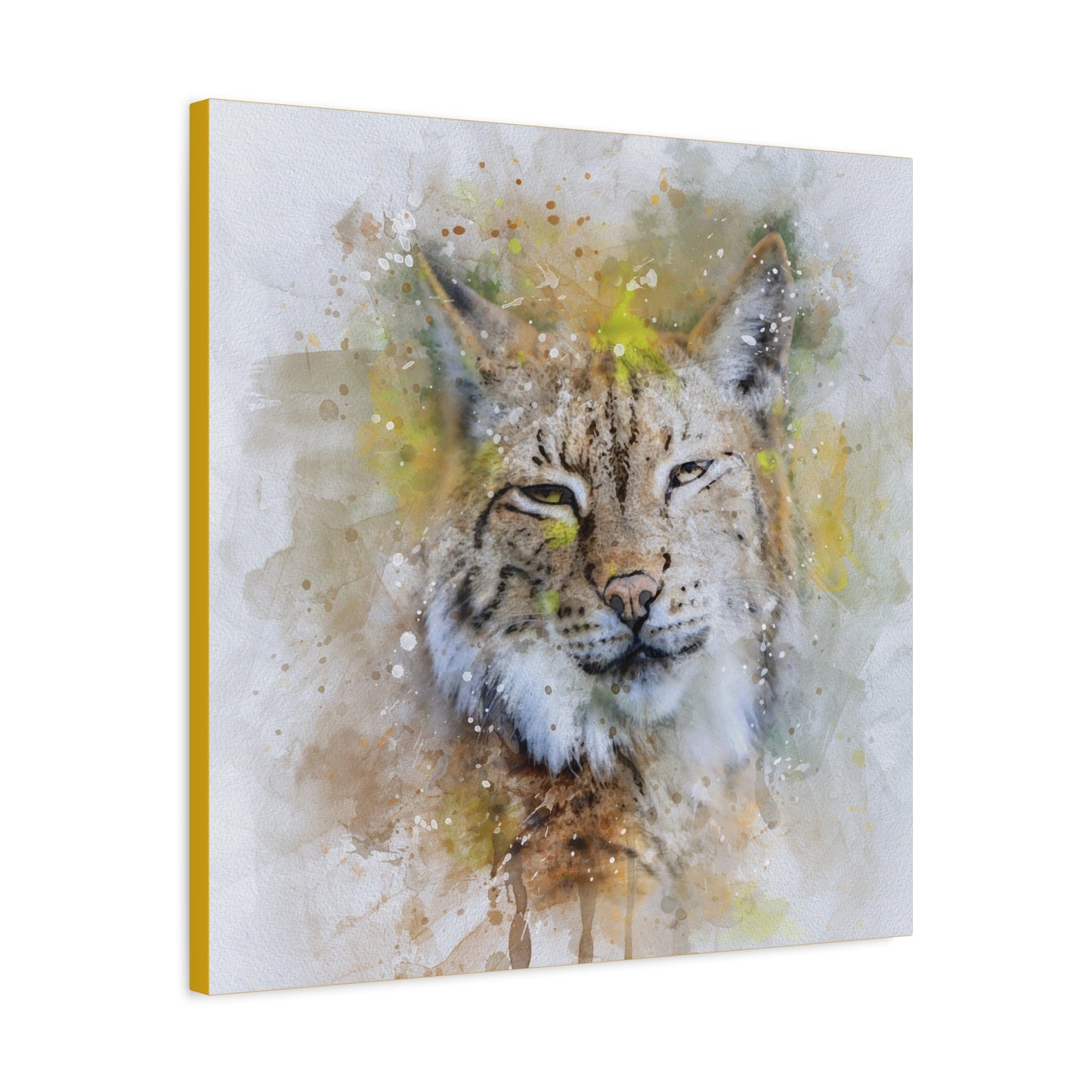 Bobcat Matte Canvas, Stretched, 1.25"