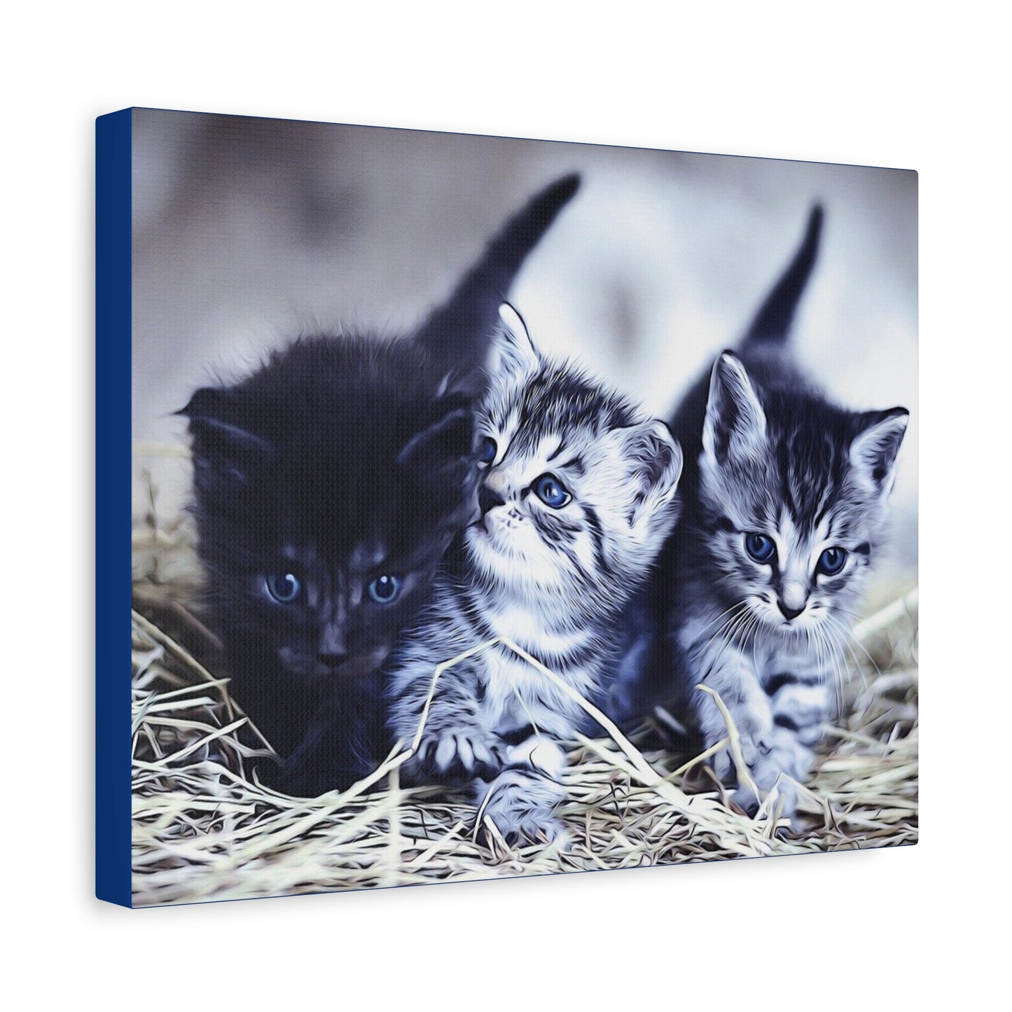 Kitten Matte Canvas, Stretched, 1.25"