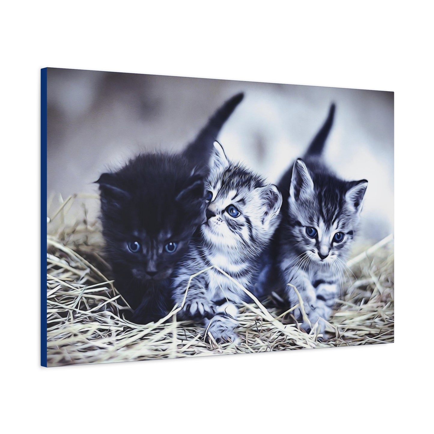 Kitten Matte Canvas, Stretched, 1.25"