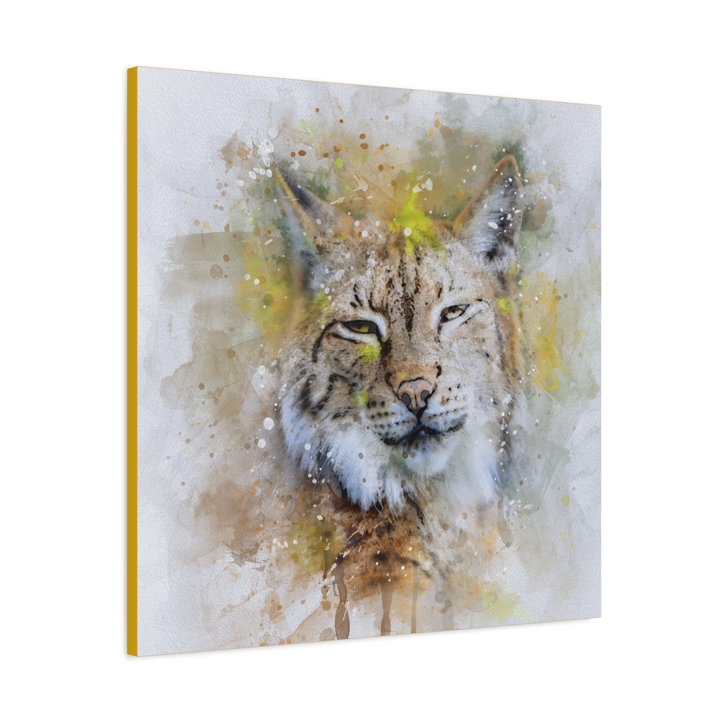 Bobcat Matte Canvas, Stretched, 1.25"