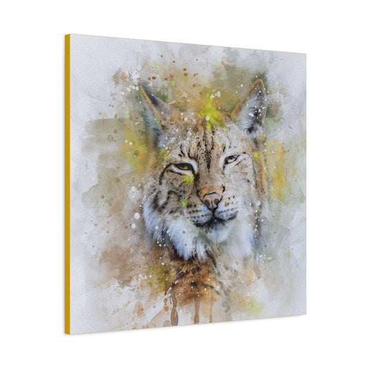 Bobcat Matte Canvas, Stretched, 1.25"
