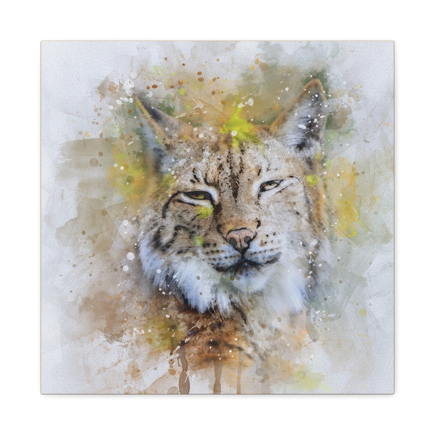 Bobcat Matte Canvas, Stretched, 1.25"