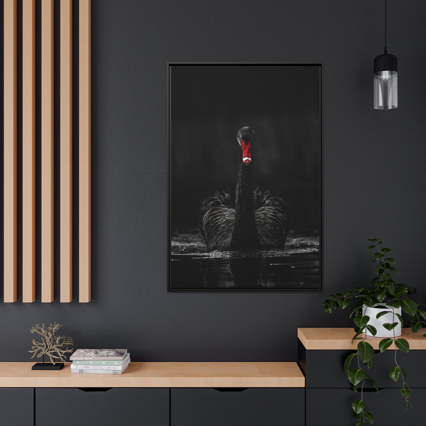 Black Swan Matte Canvas, Black Frame