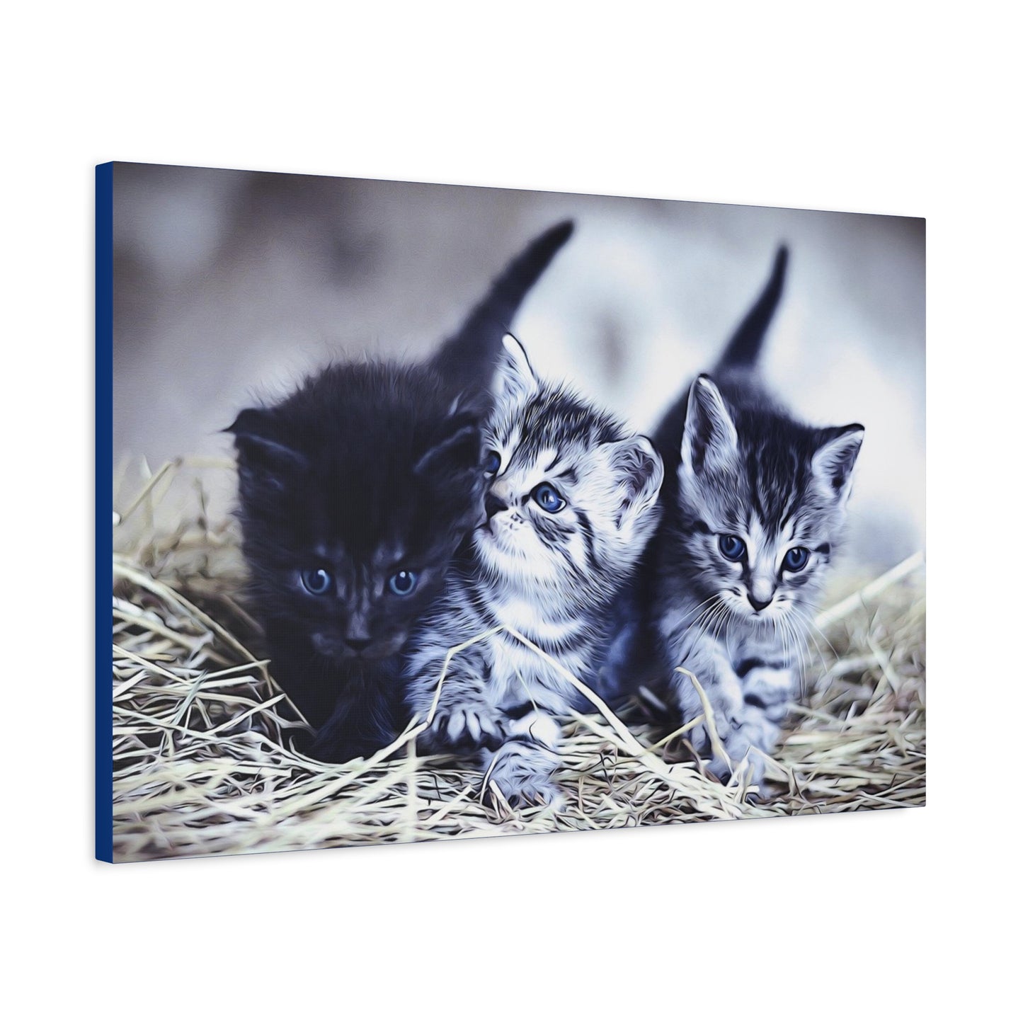Kitten Matte Canvas, Stretched, 1.25"