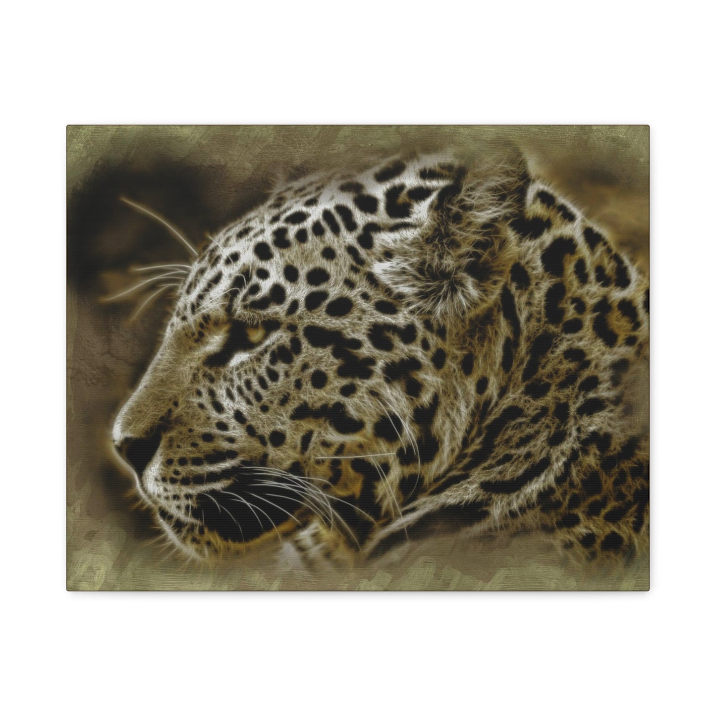 Jaguar Matte Canvas, Stretched, 1.25"