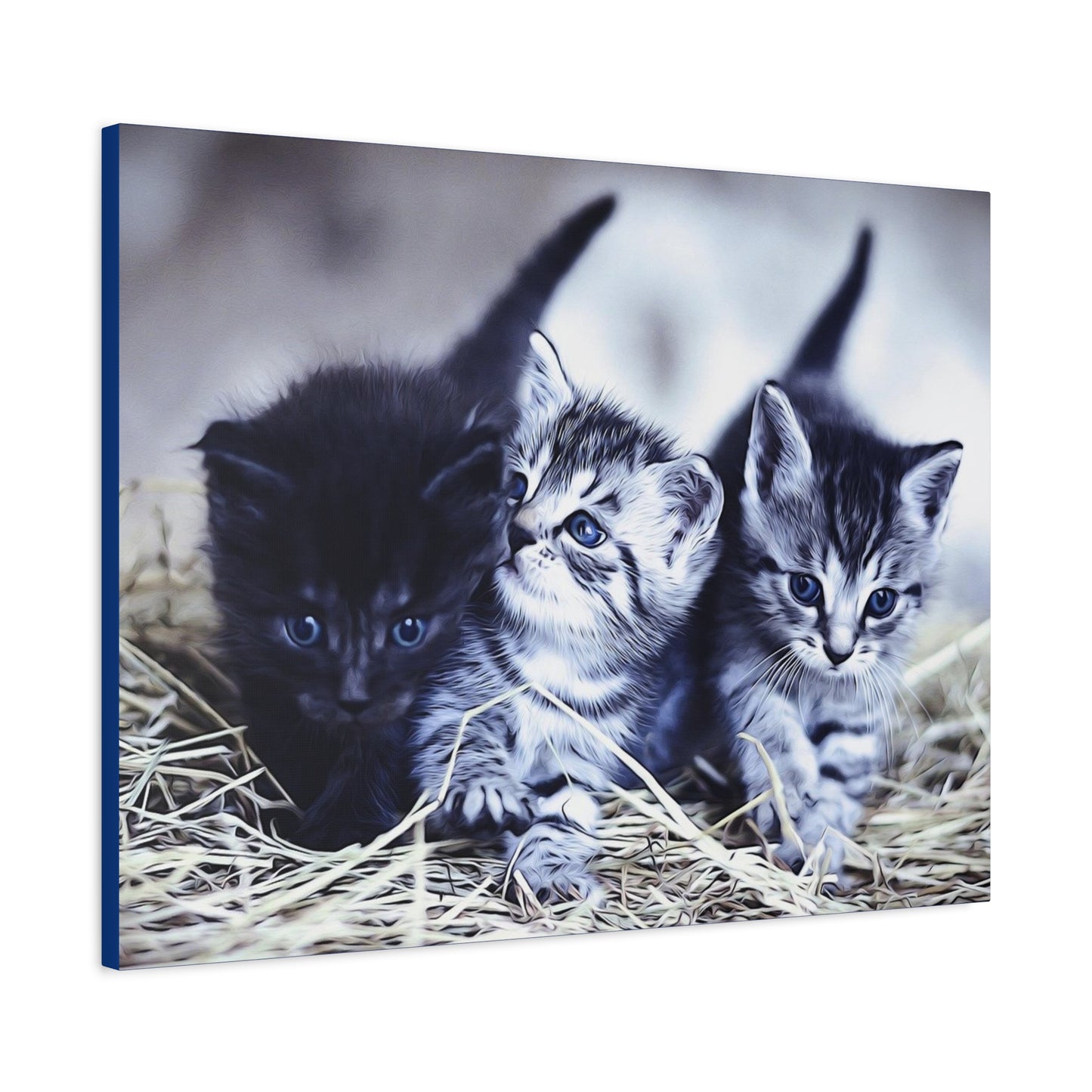 Kitten Matte Canvas, Stretched, 1.25"