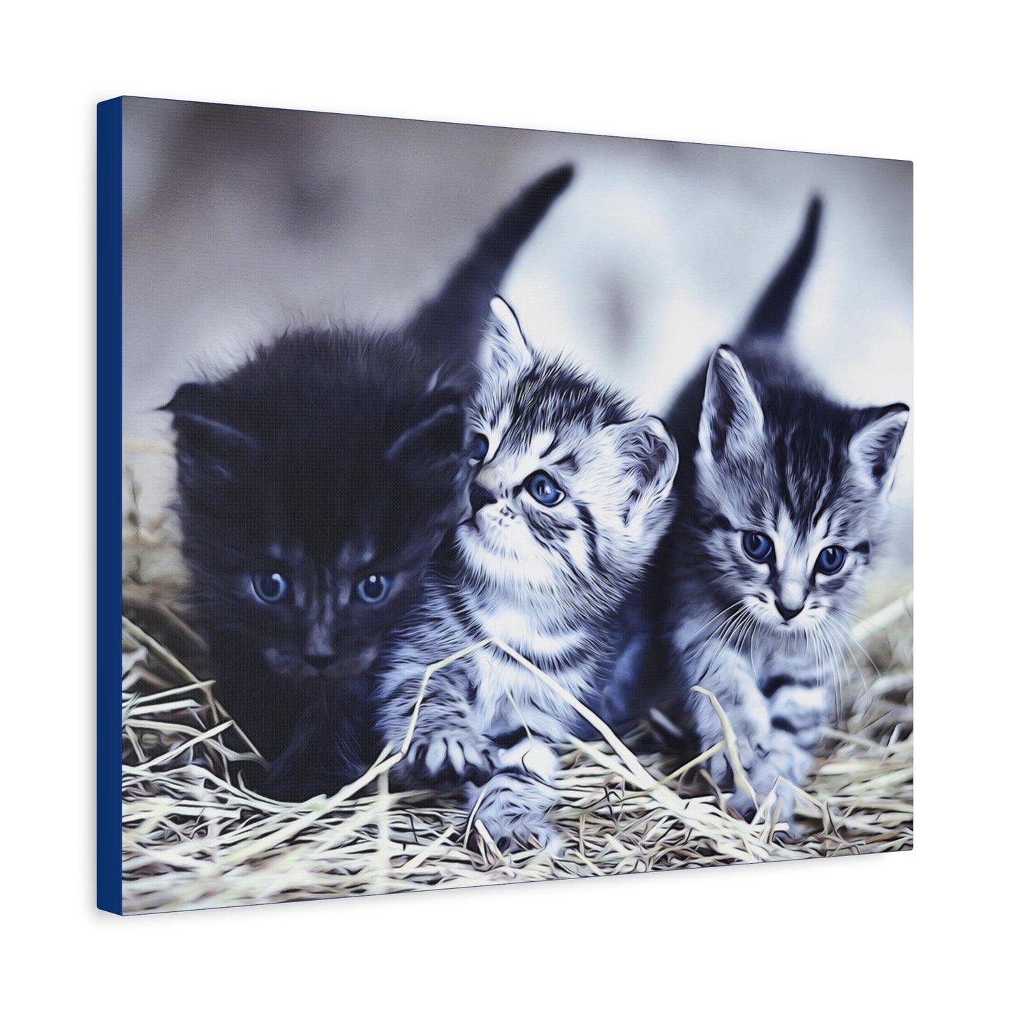 Kitten Matte Canvas, Stretched, 1.25"