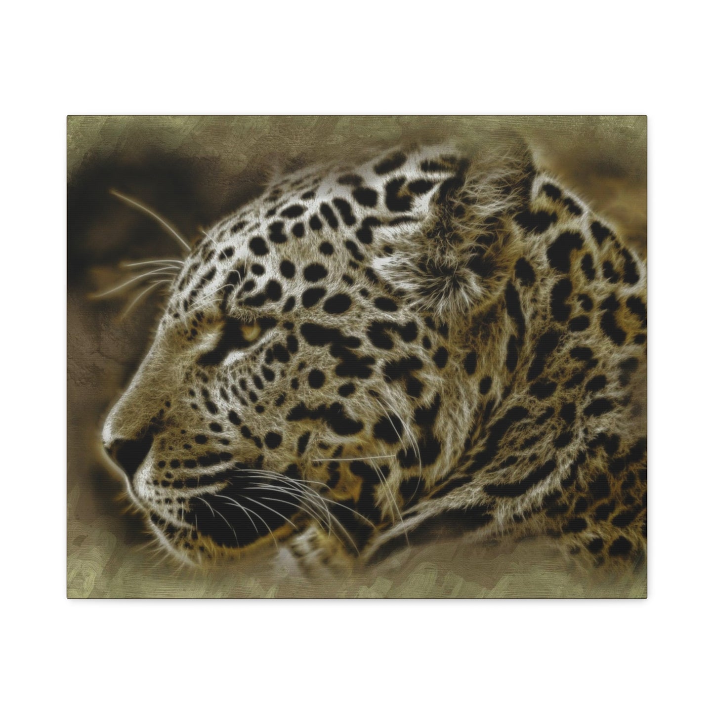Jaguar Matte Canvas, Stretched, 1.25"