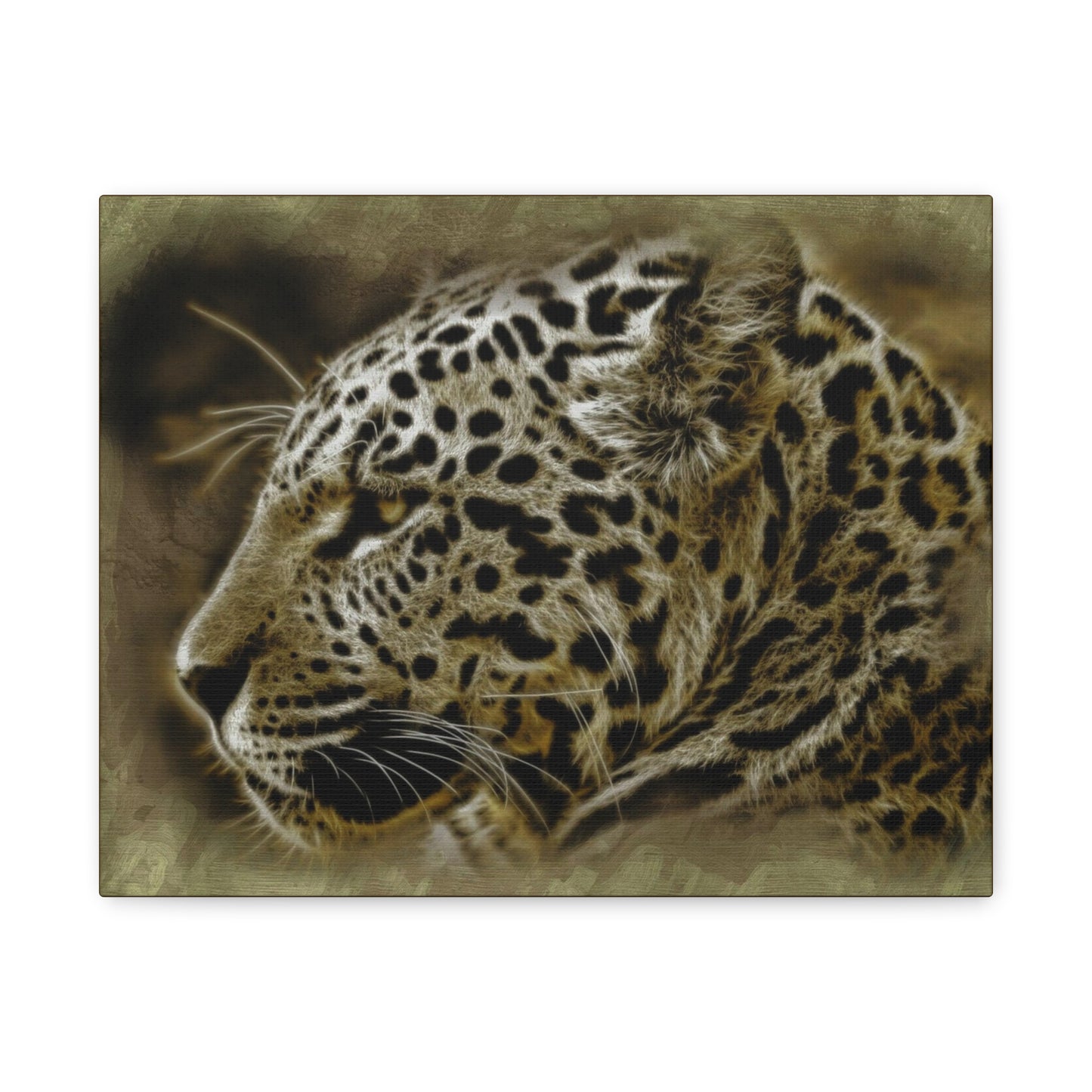 Jaguar Matte Canvas, Stretched, 1.25"