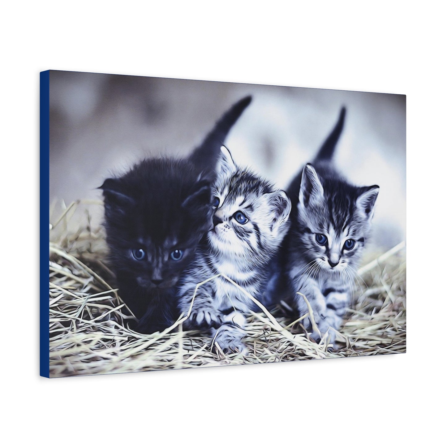 Kitten Matte Canvas, Stretched, 1.25"