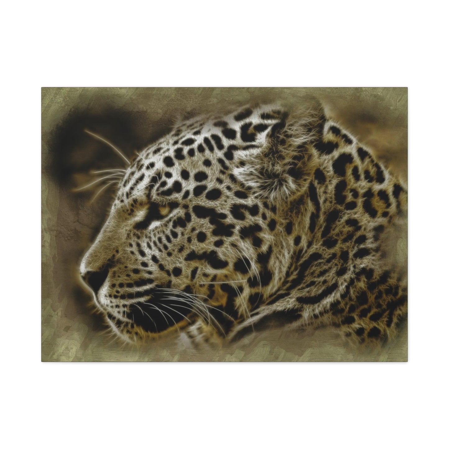 Jaguar Matte Canvas, Stretched, 1.25"