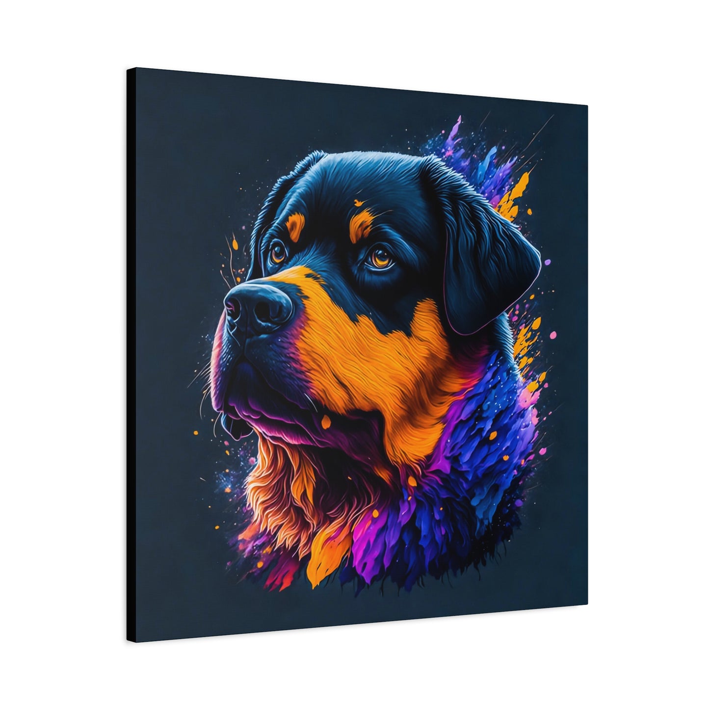 Rottweiller Matte Canvas, Stretched, 1.25"
