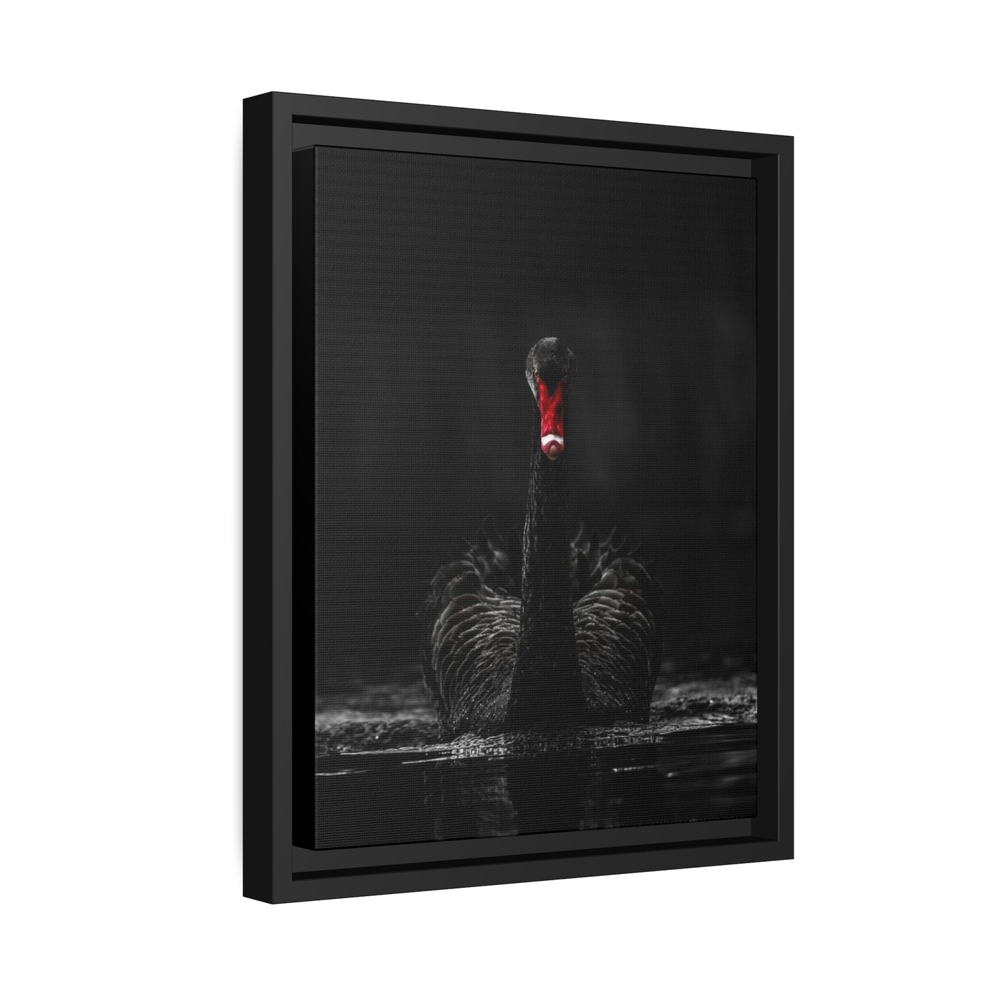Black Swan Matte Canvas, Black Frame