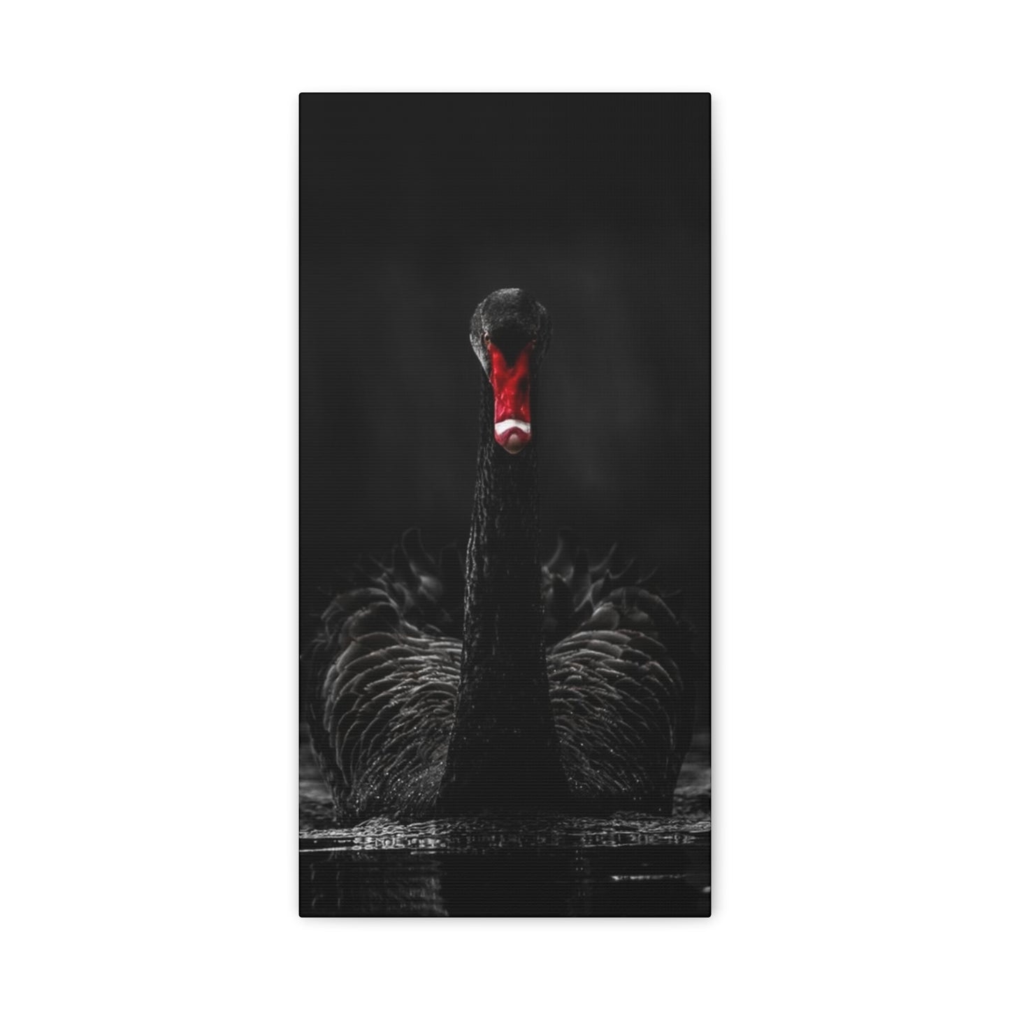Black Swan Matte Canvas, Stretched, 1.25"