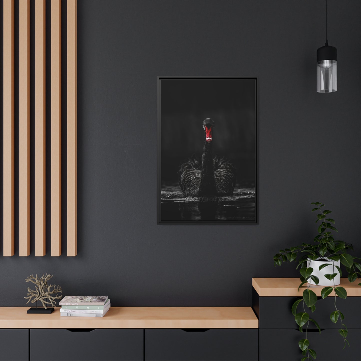 Black Swan Matte Canvas, Black Frame
