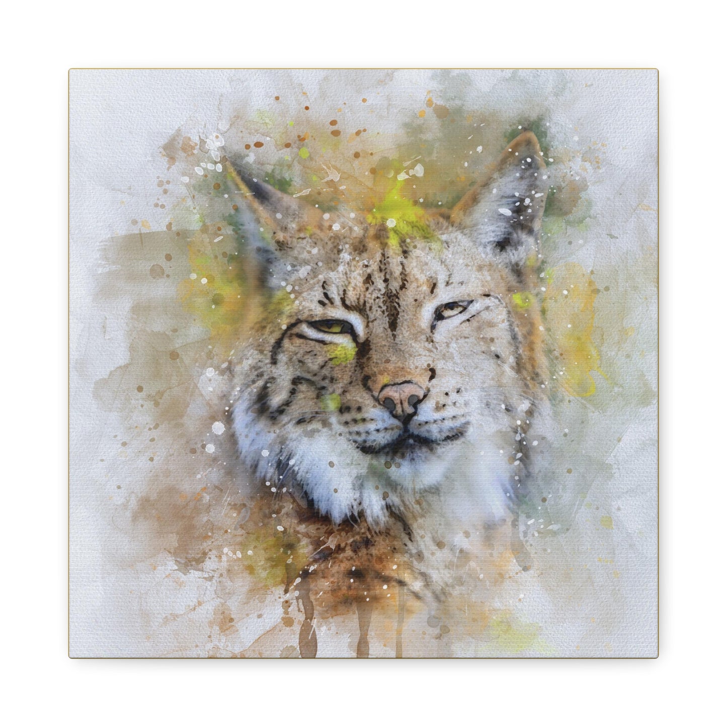 Bobcat Matte Canvas, Stretched, 1.25"
