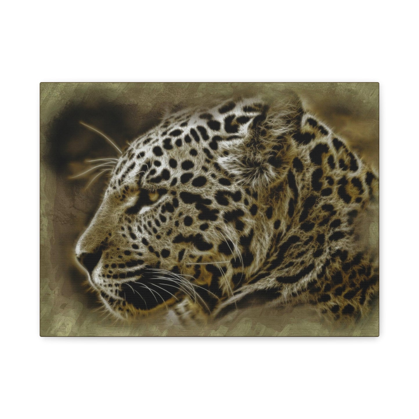 Jaguar Matte Canvas, Stretched, 1.25"