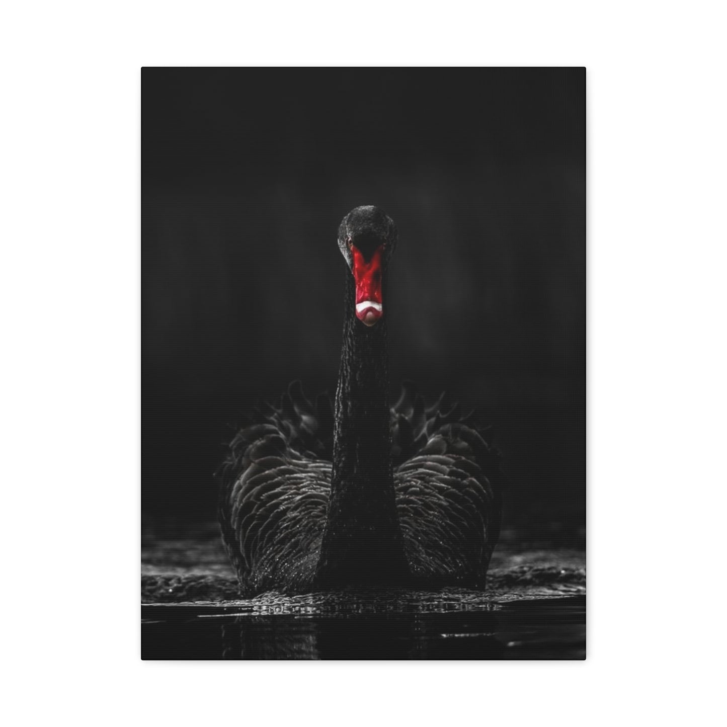 Black Swan Matte Canvas, Stretched, 1.25"