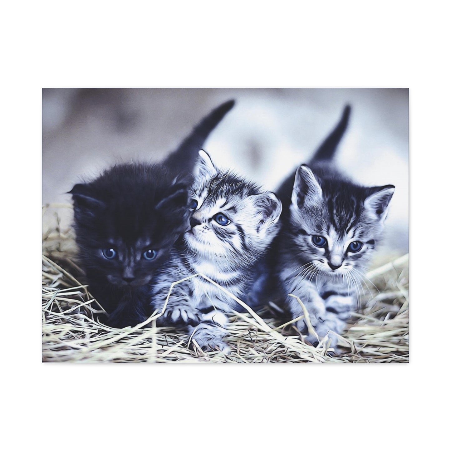 Kitten Matte Canvas, Stretched, 1.25"