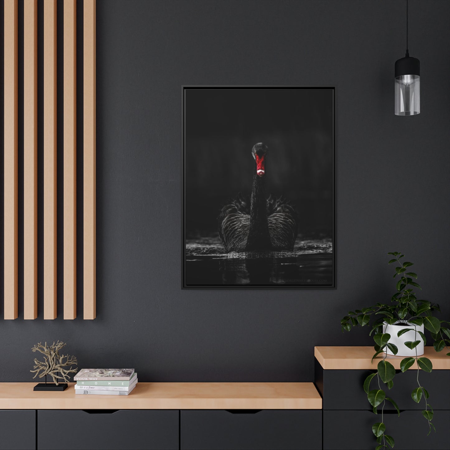 Black Swan Matte Canvas, Black Frame