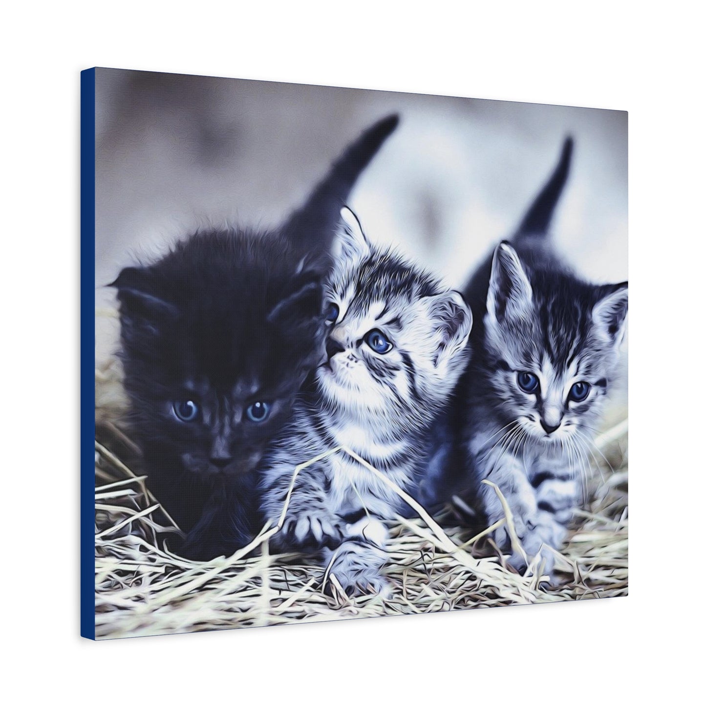 Kitten Matte Canvas, Stretched, 1.25"