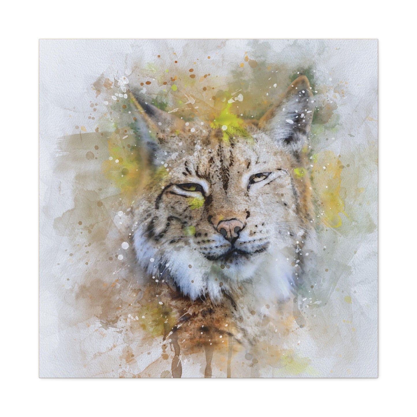 Bobcat Matte Canvas, Stretched, 1.25"