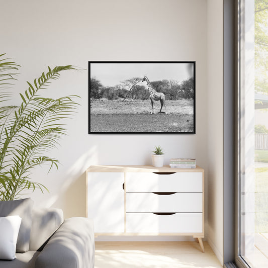 Girafe Waza Matte Canvas, Black Frame