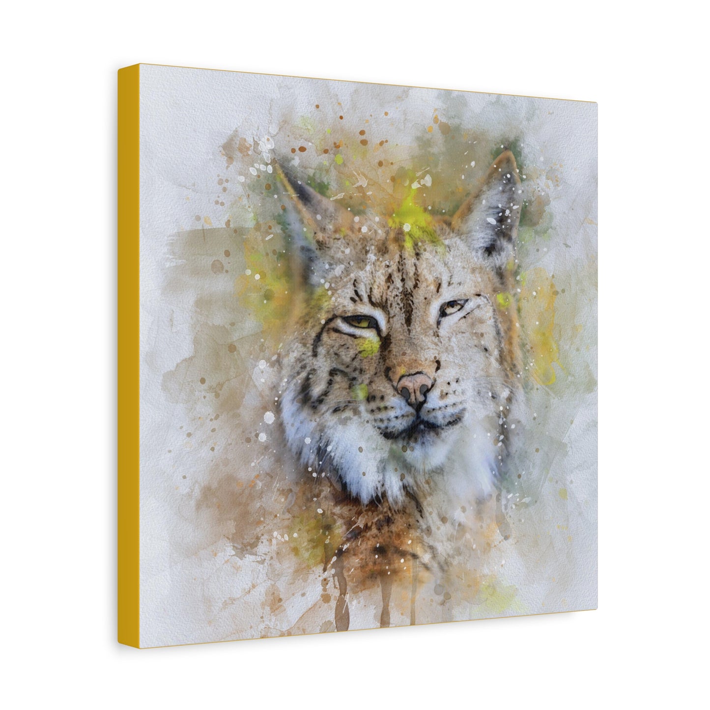 Bobcat Matte Canvas, Stretched, 1.25"