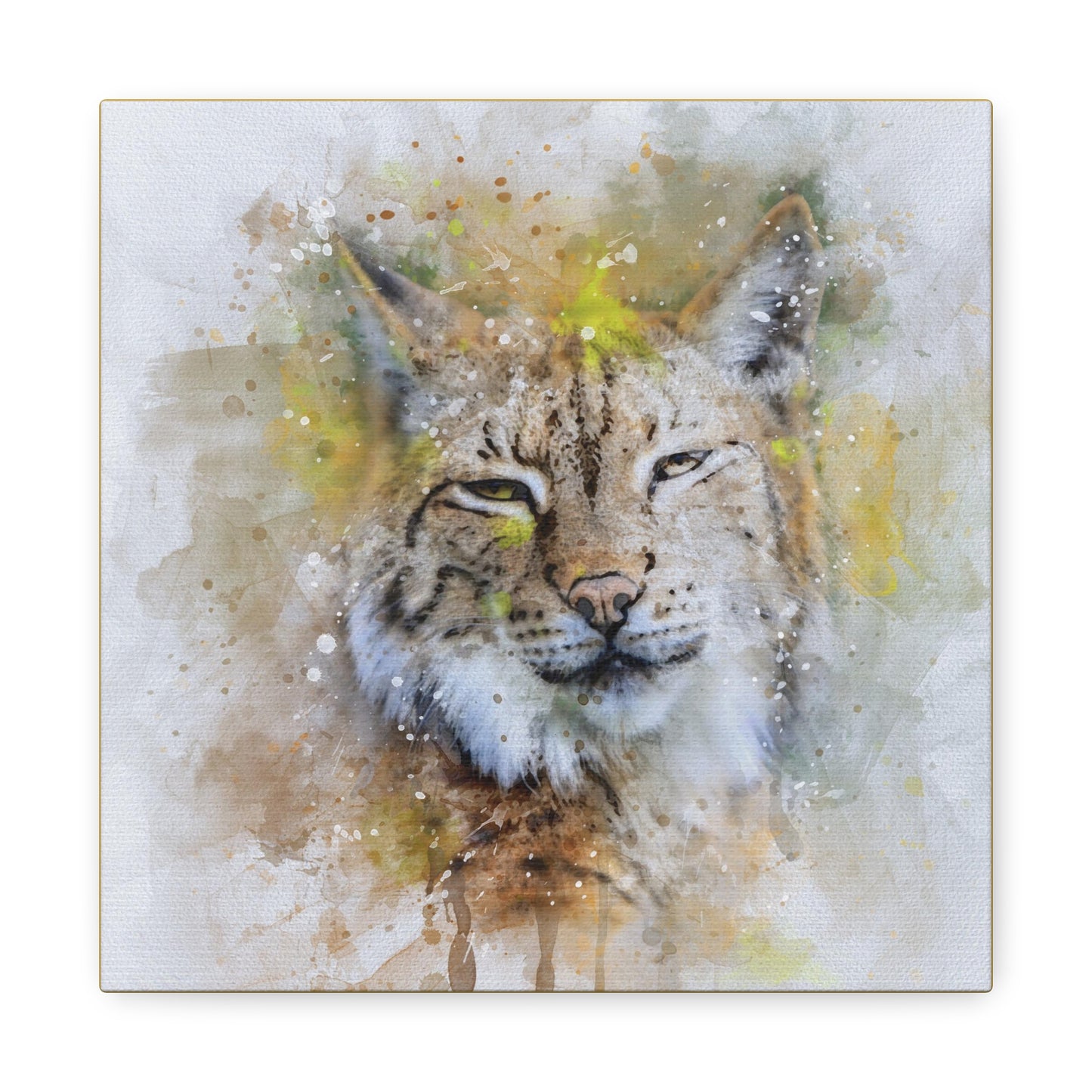 Bobcat Matte Canvas, Stretched, 1.25"