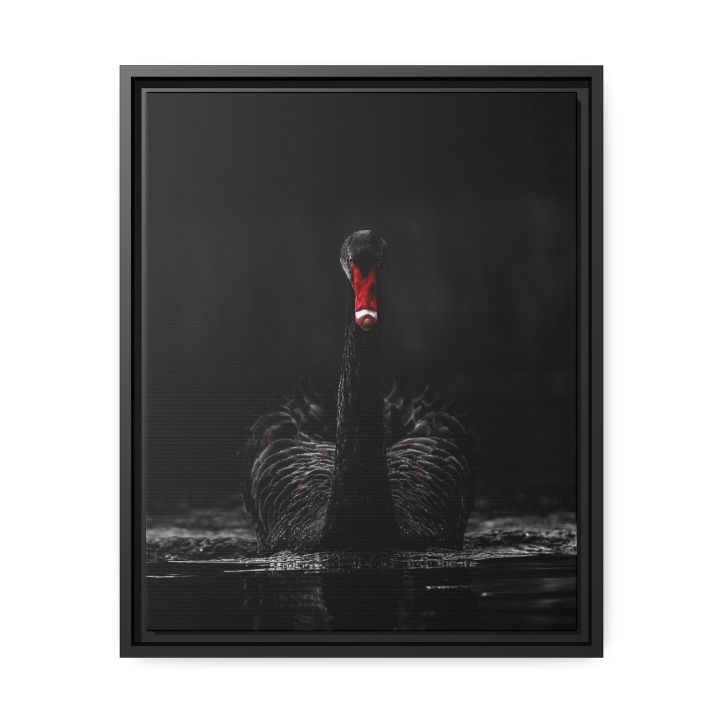 Black Swan Matte Canvas, Black Frame