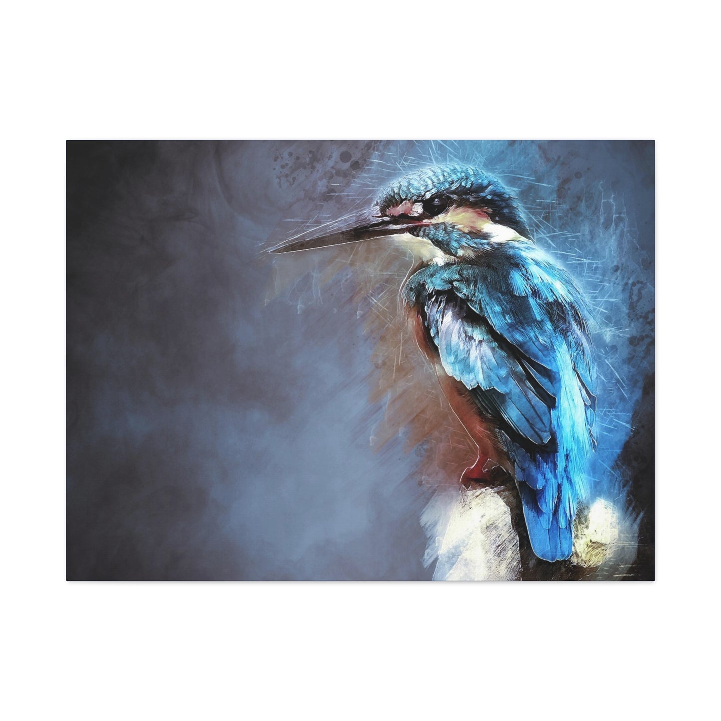 Kingfisher Matte Canvas, Stretched, 1.25"