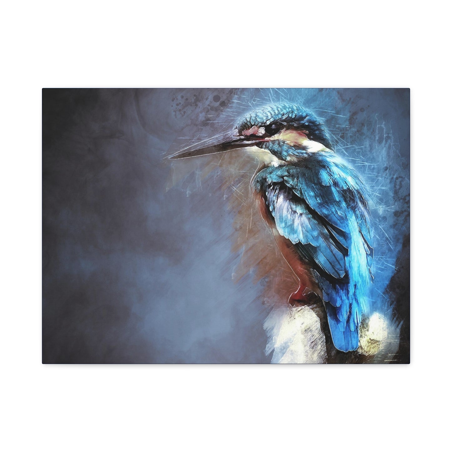 Kingfisher Matte Canvas, Stretched, 1.25"