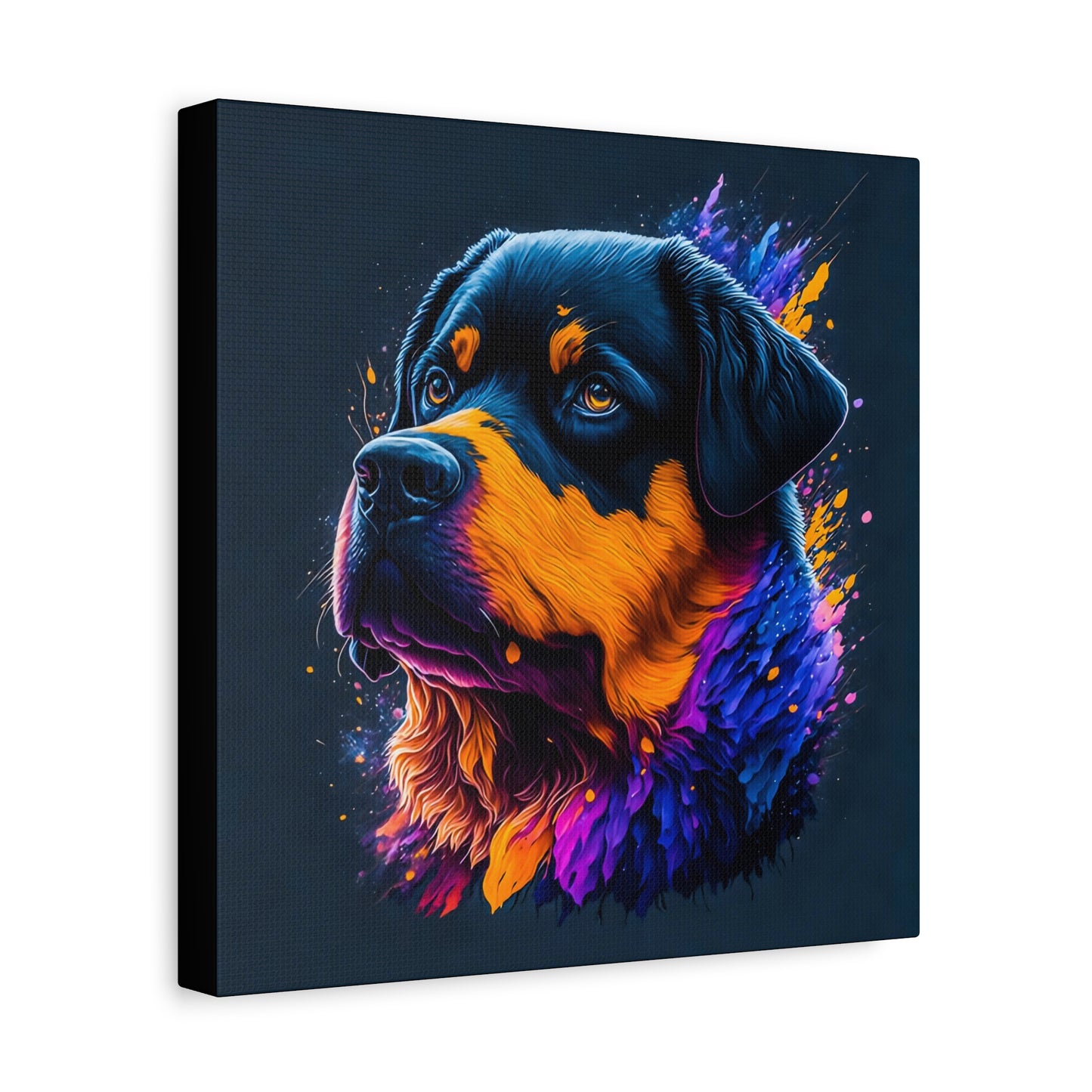 Rottweiller Matte Canvas, Stretched, 1.25"