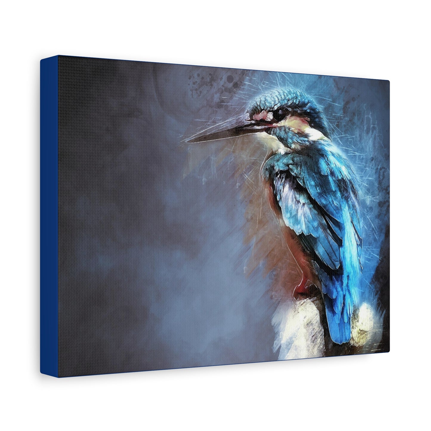 Kingfisher Matte Canvas, Stretched, 1.25"