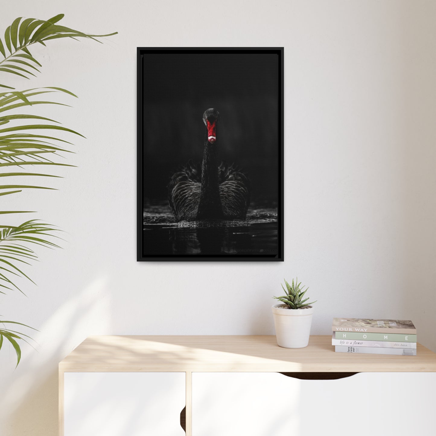 Black Swan Matte Canvas, Black Frame