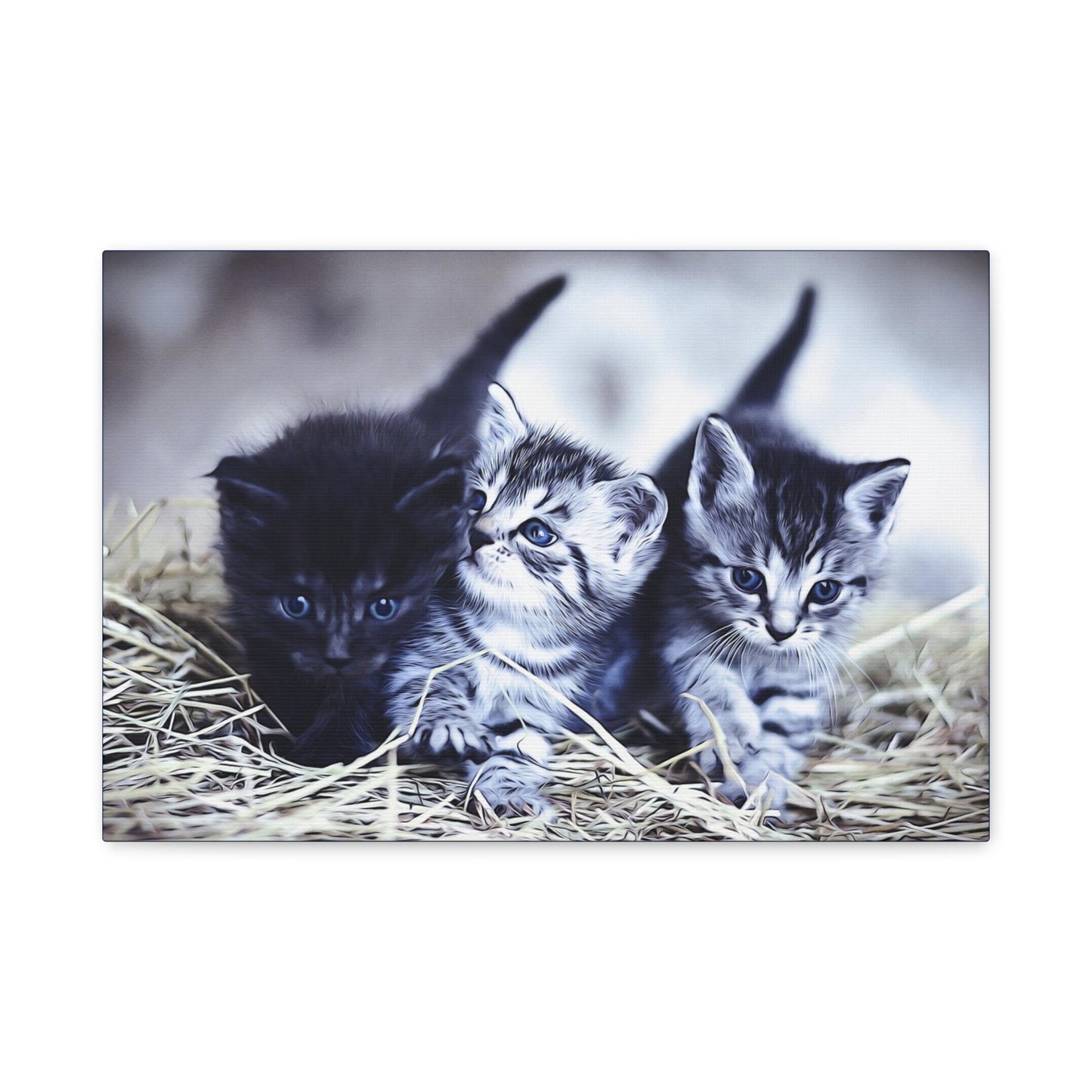 Kitten Matte Canvas, Stretched, 1.25"