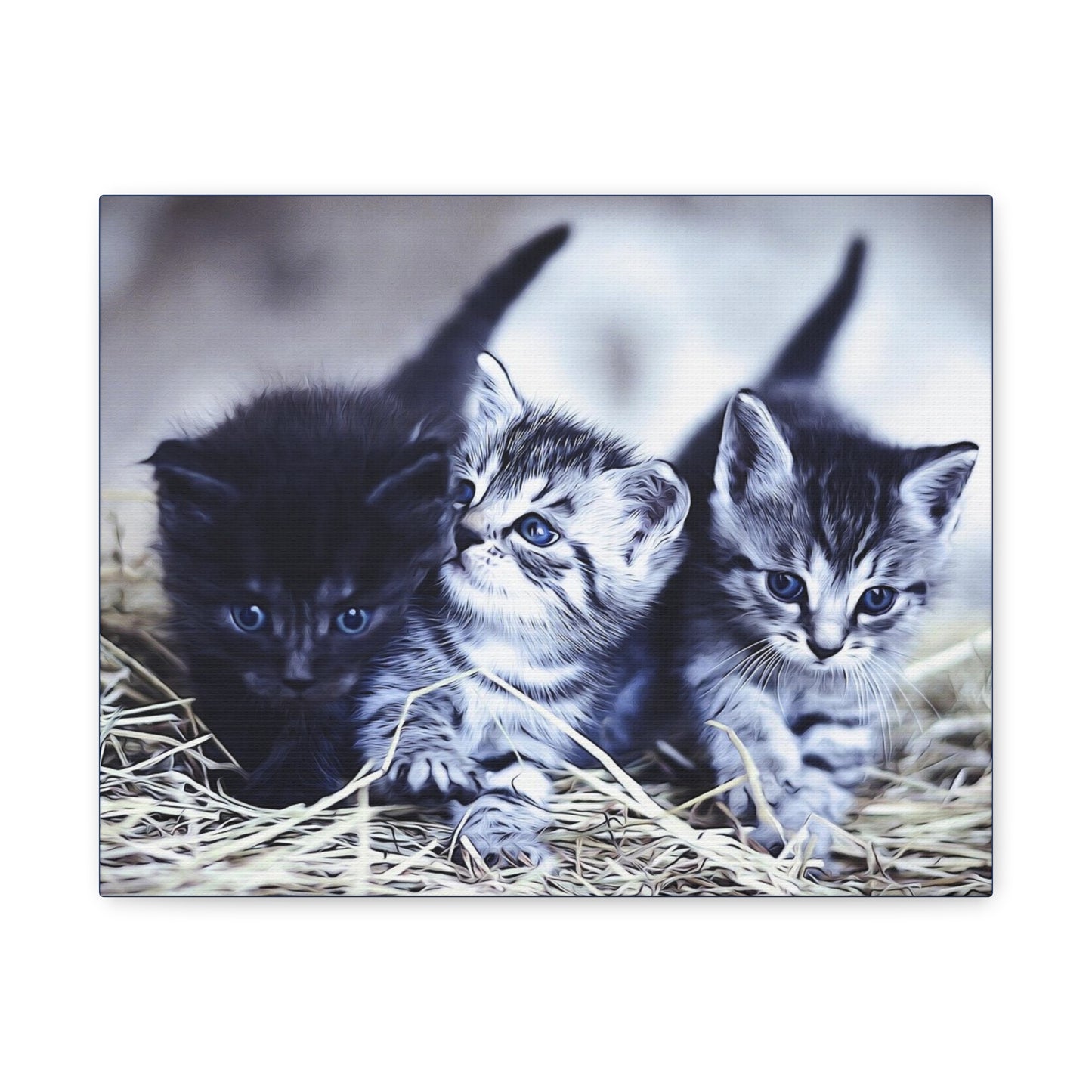 Kitten Matte Canvas, Stretched, 1.25"