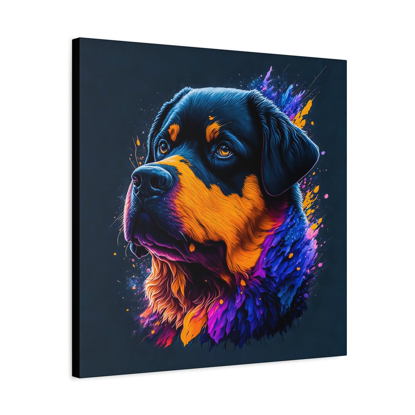 Rottweiller Matte Canvas, Stretched, 1.25"