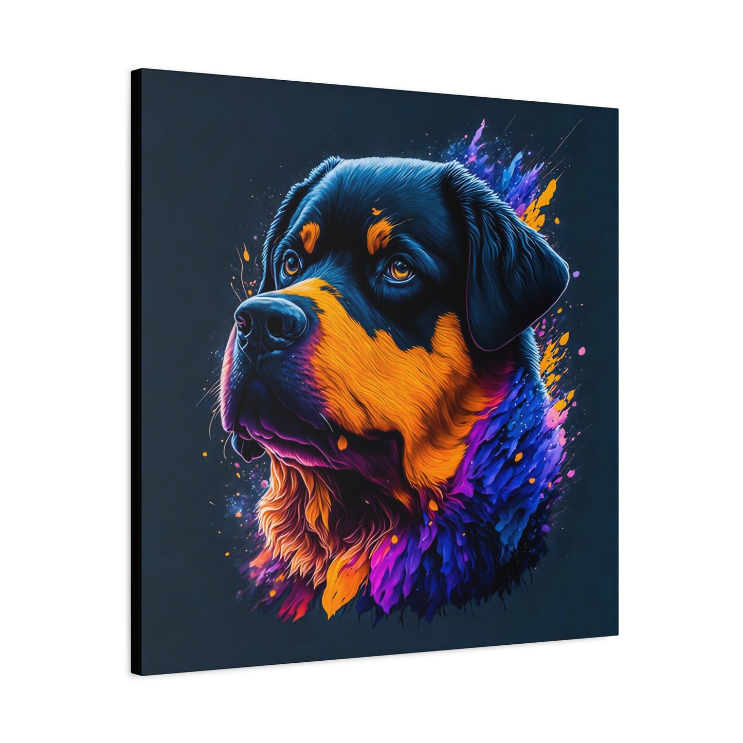 Rottweiller Matte Canvas, Stretched, 1.25"