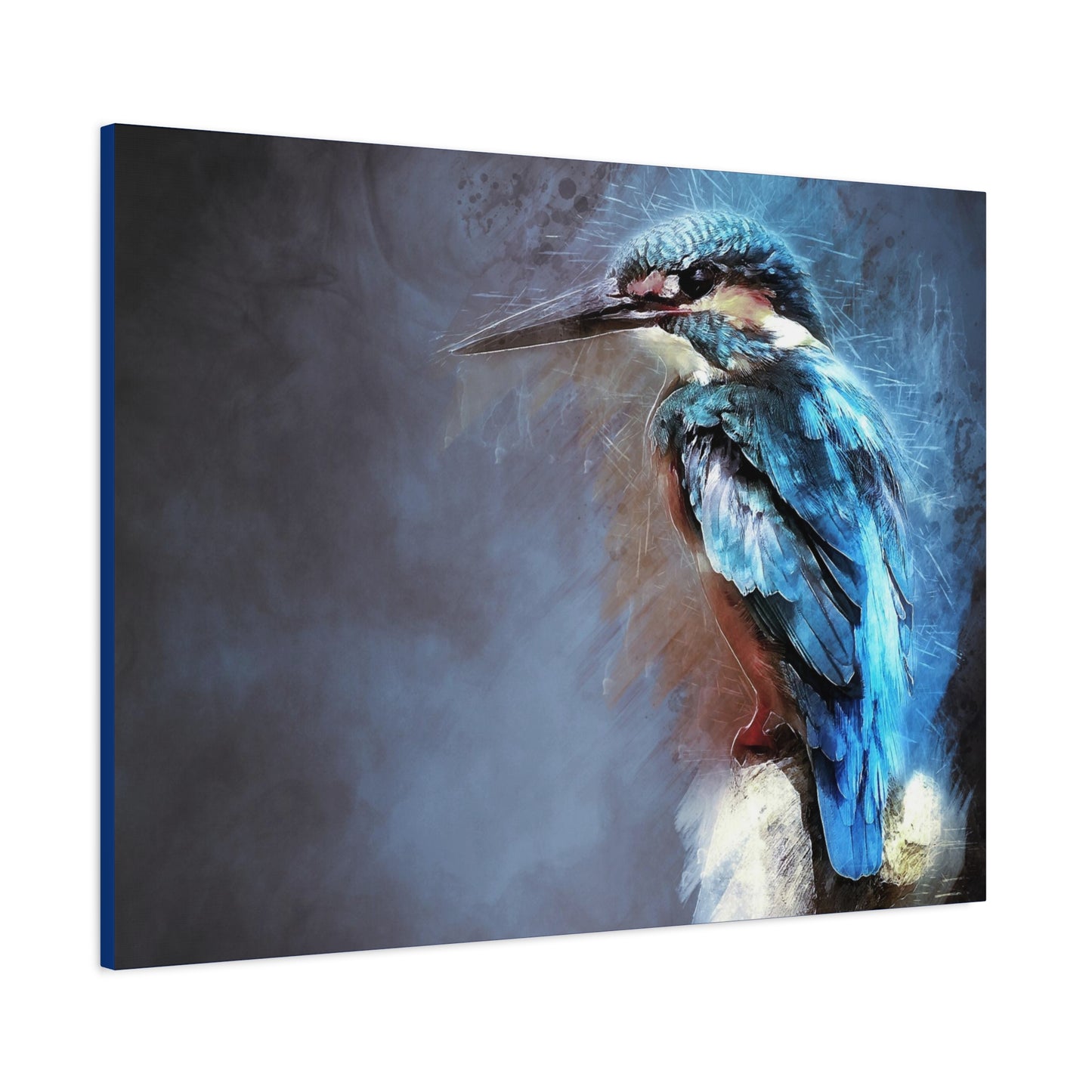 Kingfisher Matte Canvas, Stretched, 1.25"