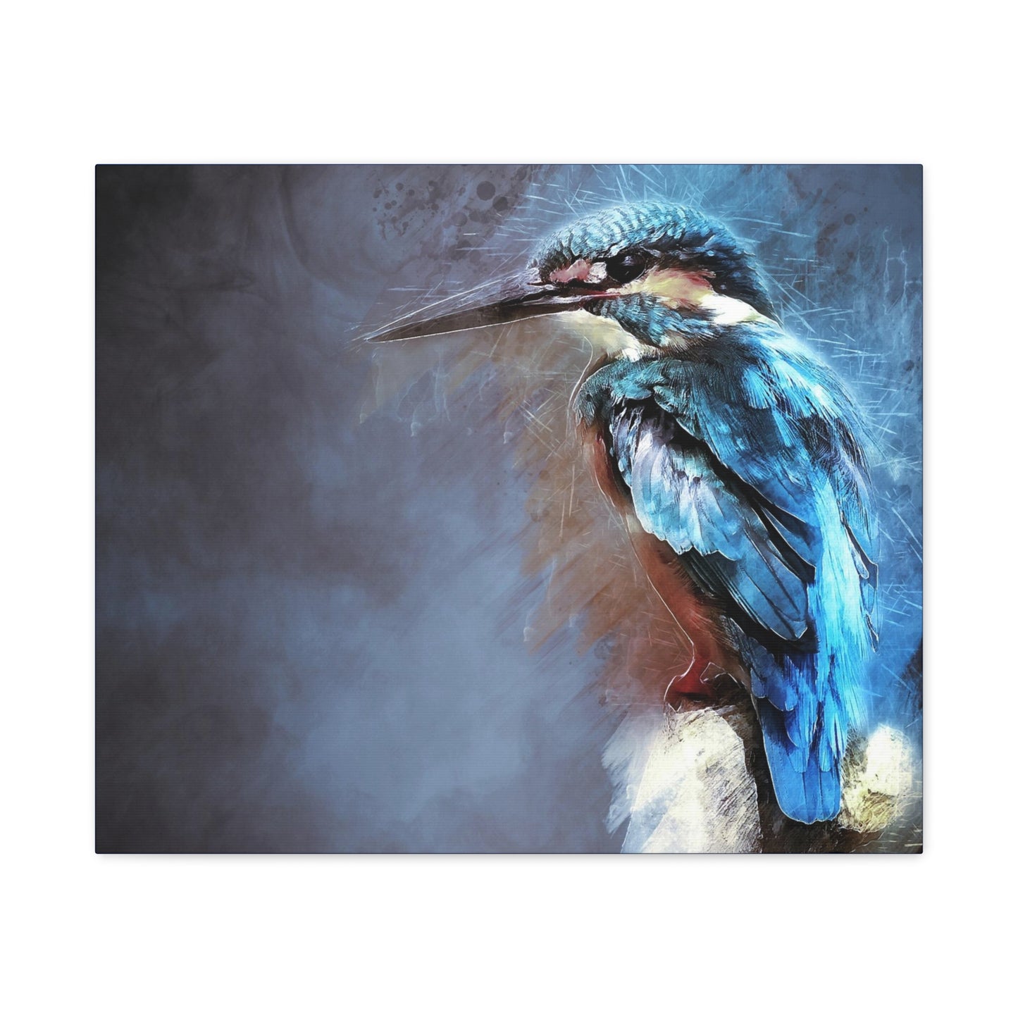 Kingfisher Matte Canvas, Stretched, 1.25"