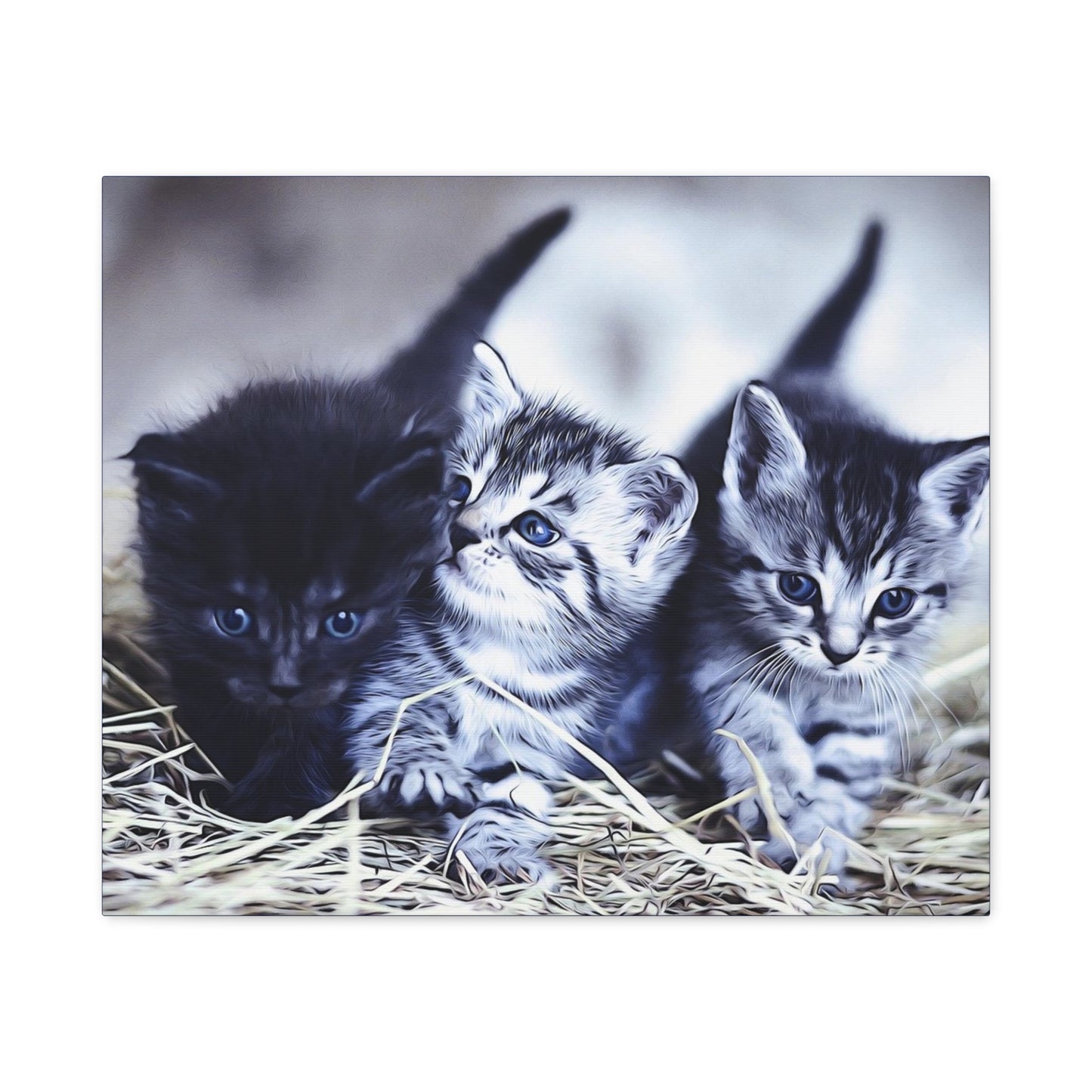 Kitten Matte Canvas, Stretched, 1.25"