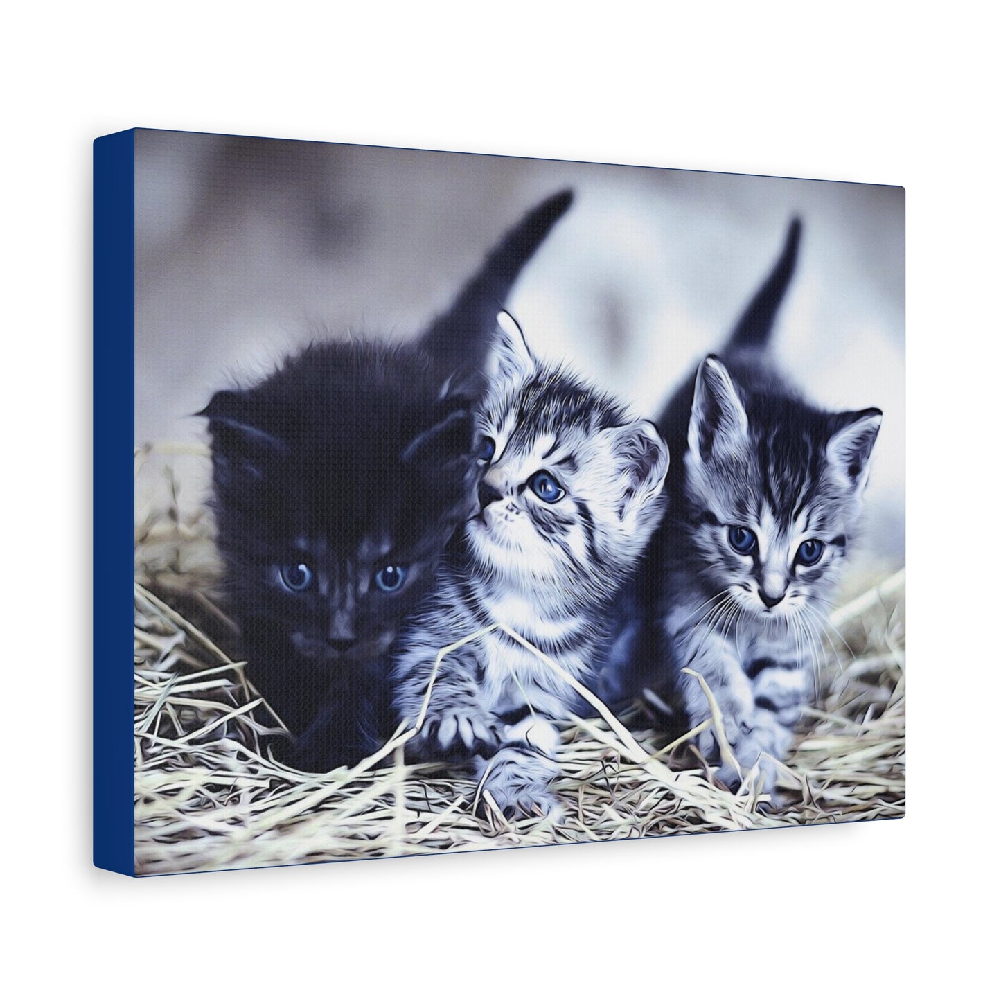 Kitten Matte Canvas, Stretched, 1.25"
