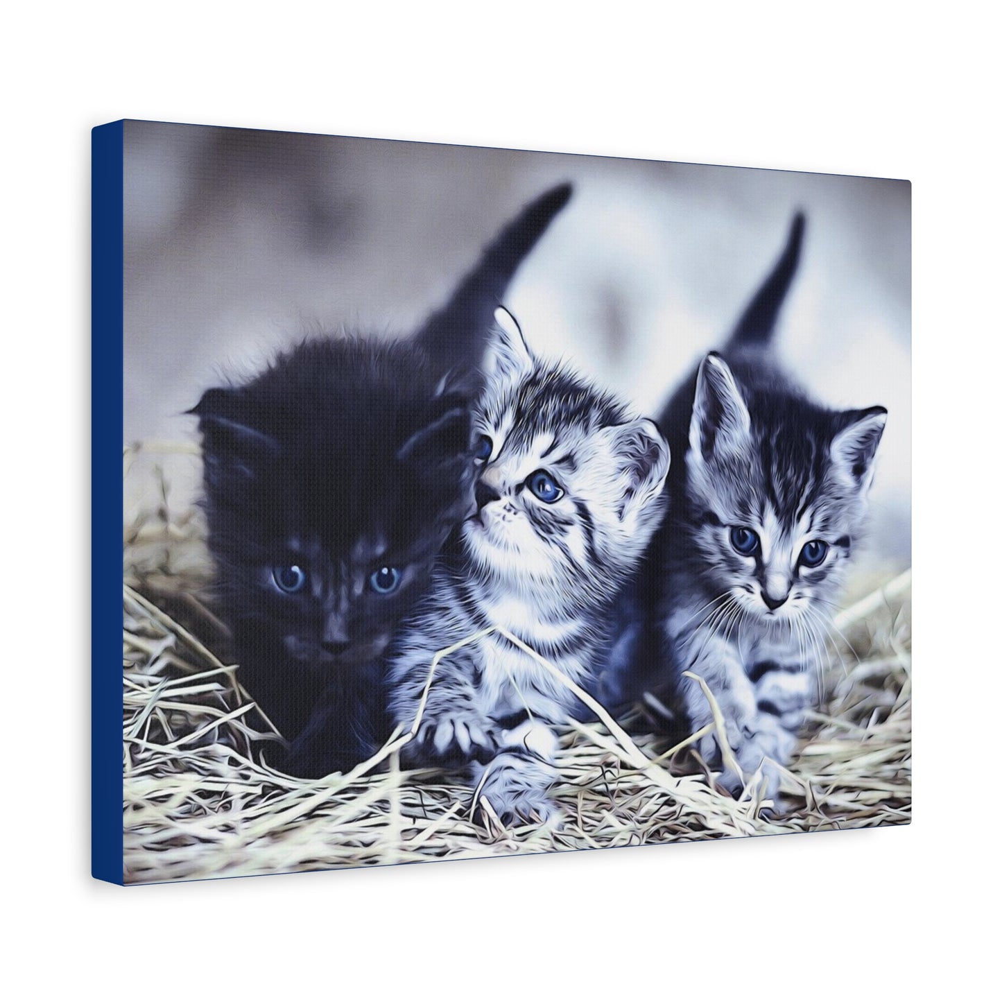Kitten Matte Canvas, Stretched, 1.25"