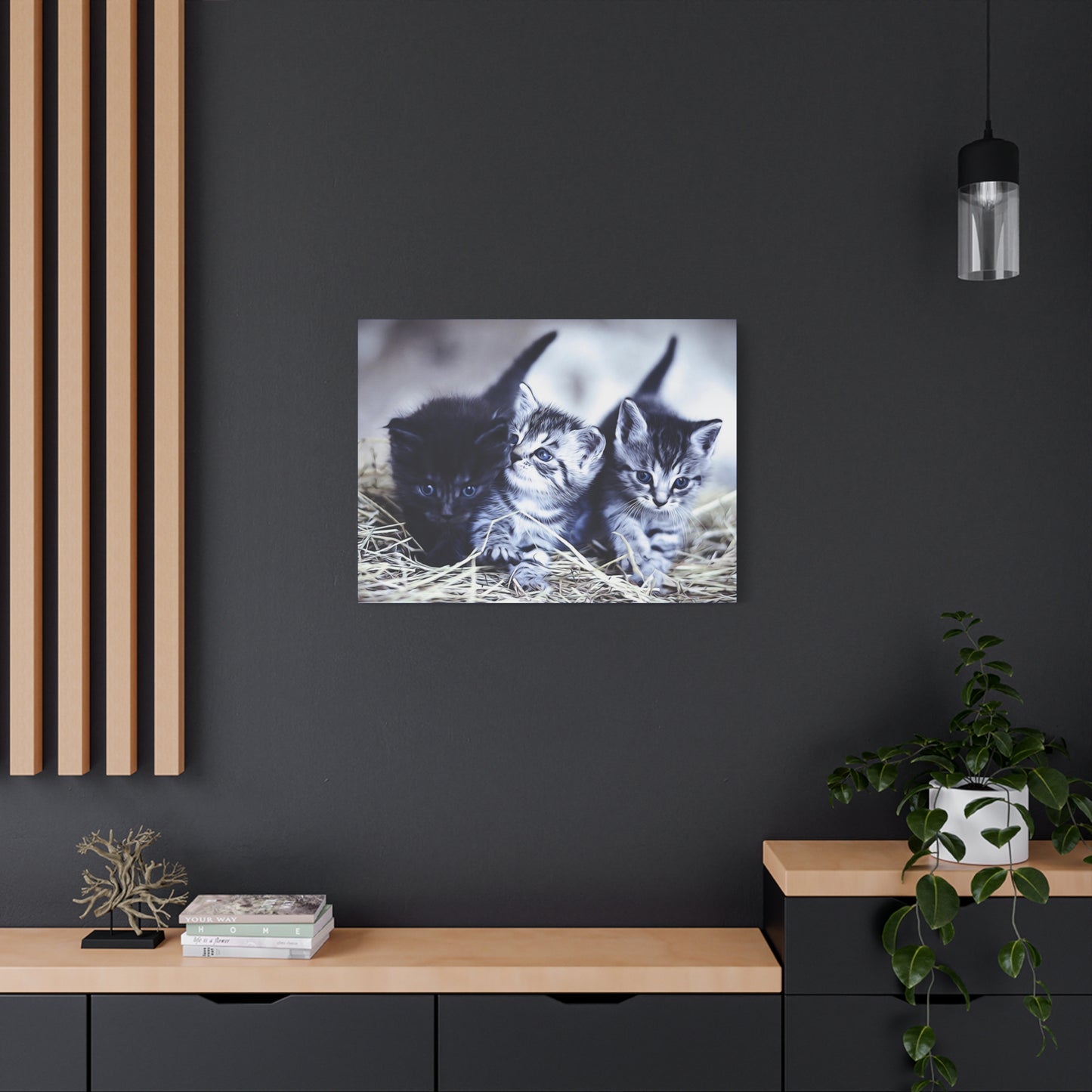 Kitten Matte Canvas, Stretched, 1.25"