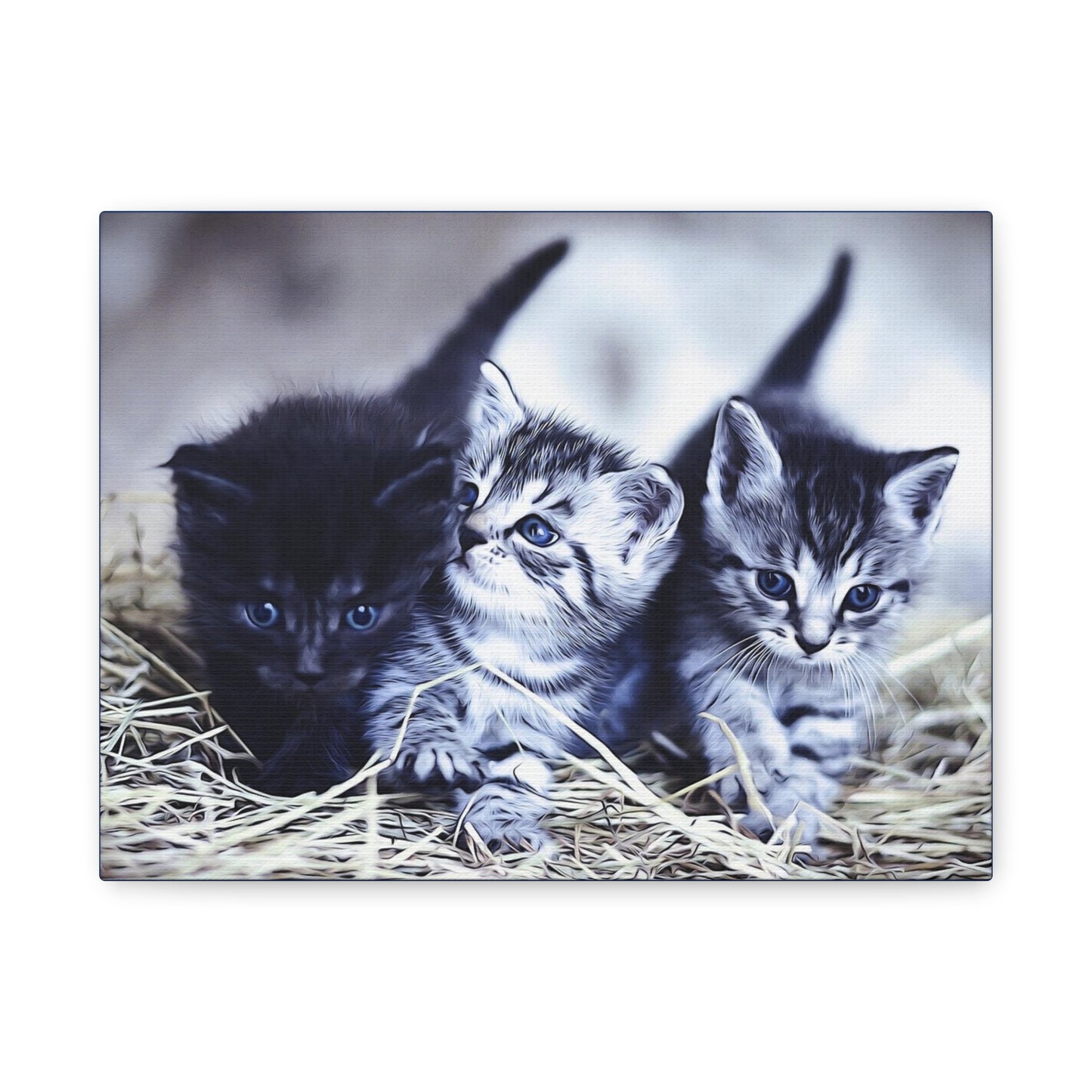 Kitten Matte Canvas, Stretched, 1.25"