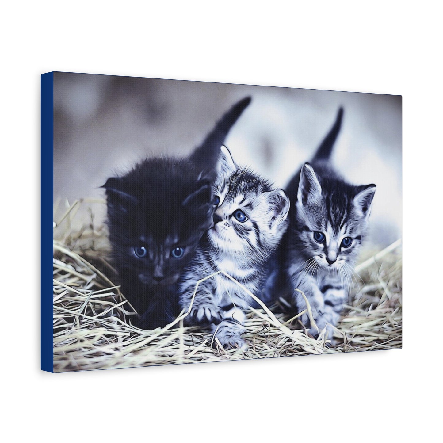 Kitten Matte Canvas, Stretched, 1.25"