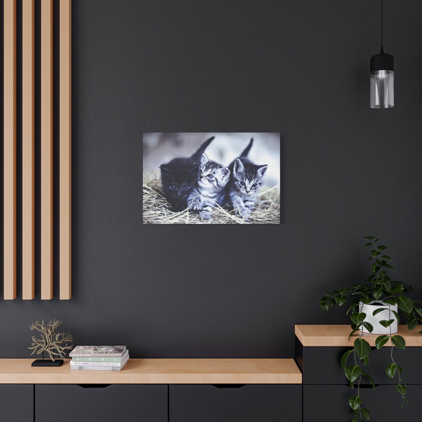 Kitten Matte Canvas, Stretched, 1.25"