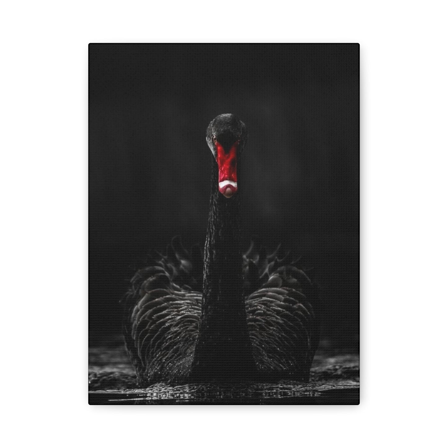 Black Swan Matte Canvas, Stretched, 1.25"