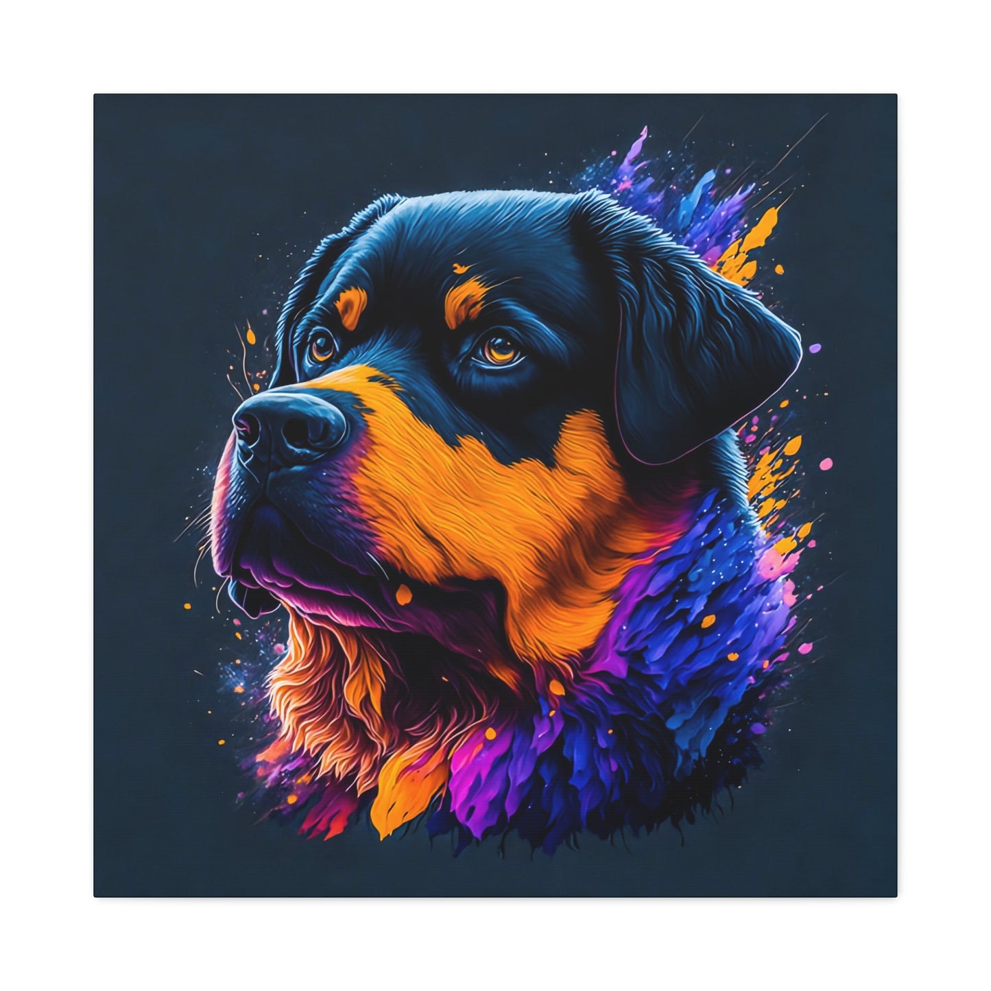 Rottweiller Matte Canvas, Stretched, 1.25"